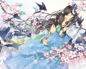 雏鸟官方下载